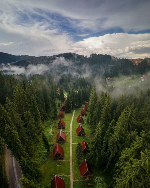 VILLI MALINA — PAMPOROVO — фотография отеля №12