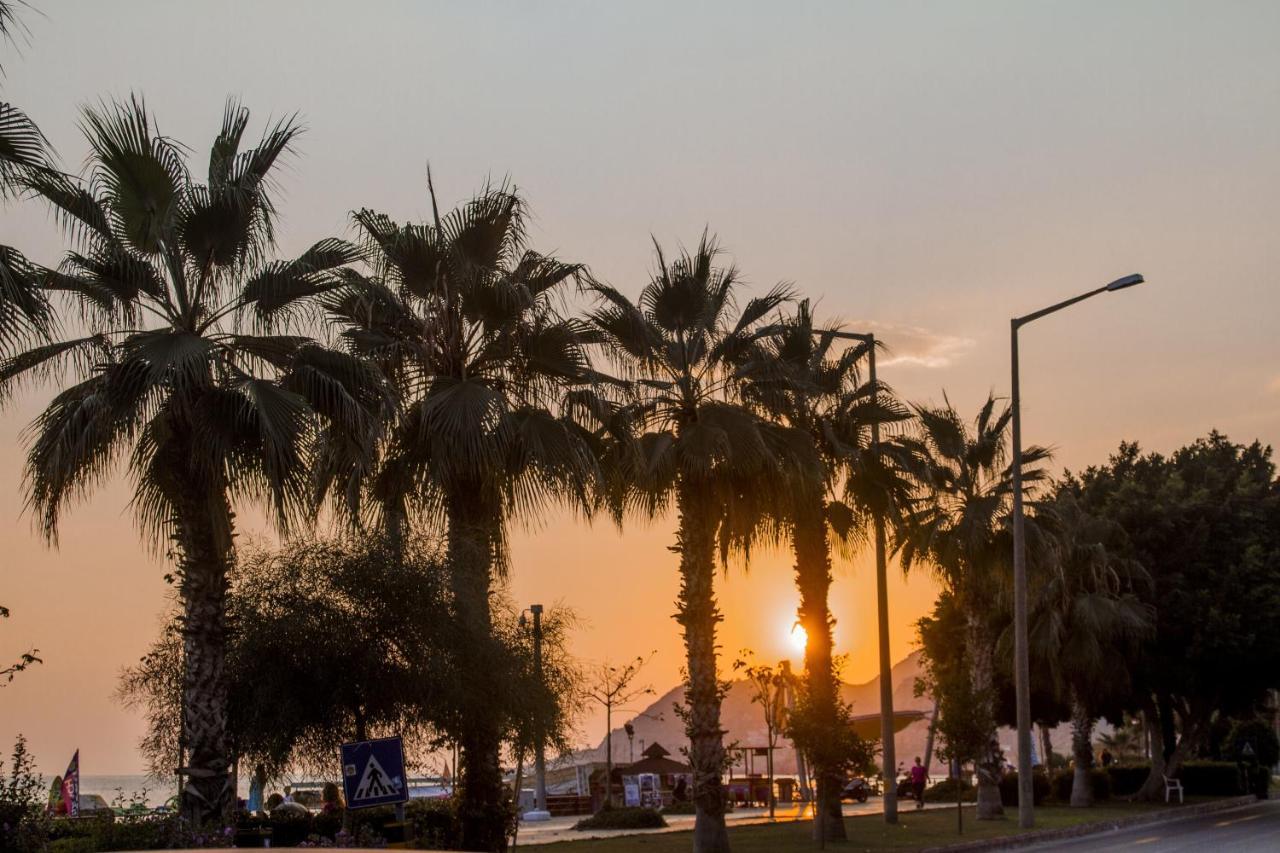 KLEOPATRA ADA BEACH — ALANYA — fotografie hotel nr. 34