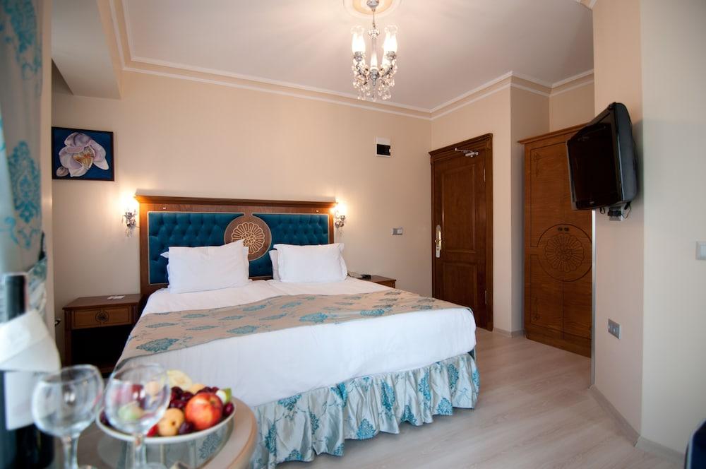 ALA SOFIA HOTEL — ISTANBUL — fotografie hotel nr. 18