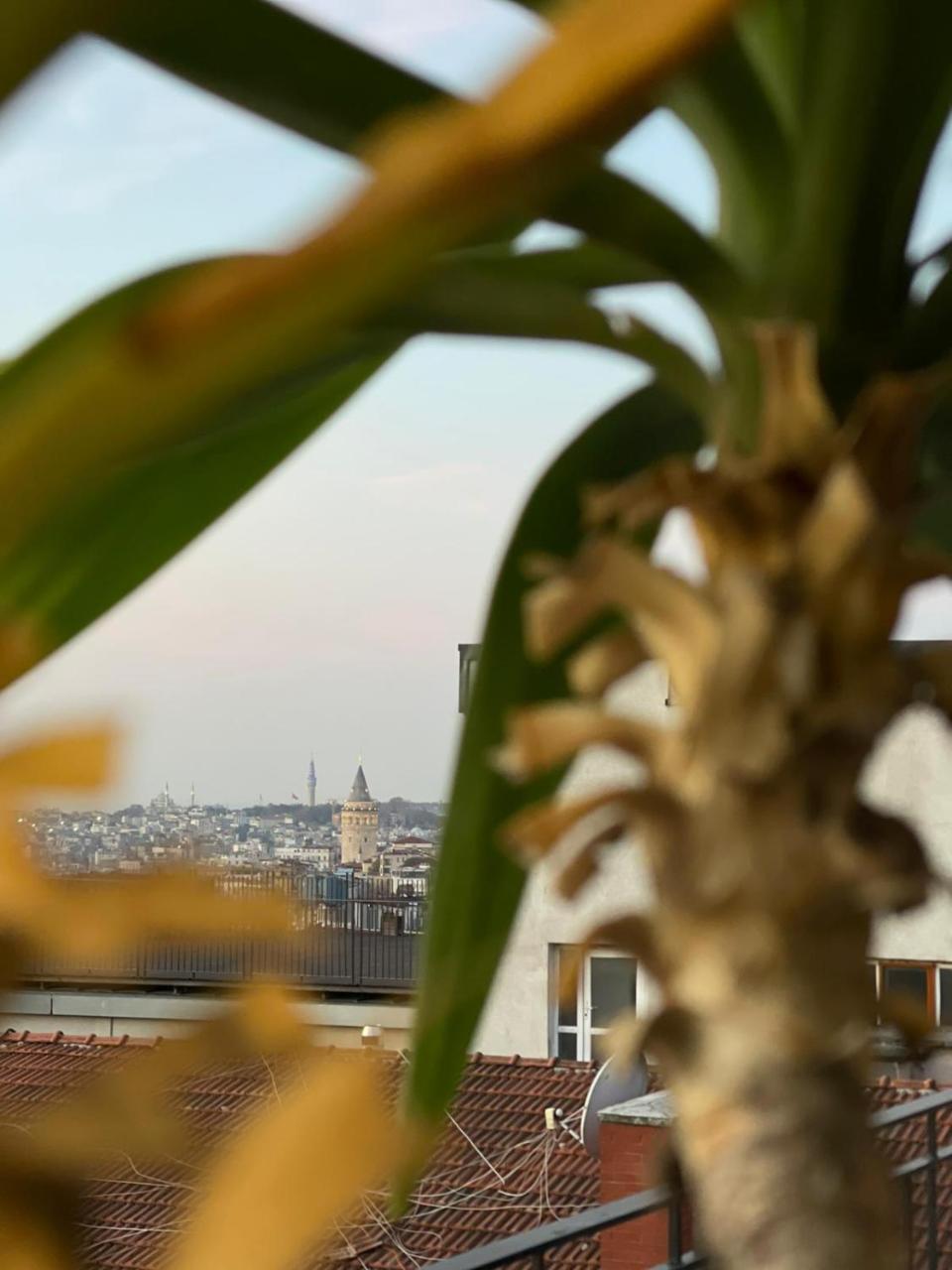 MISAFIR SUITES 8 ISTANBUL — ISTANBUL — fotografie hotel nr. 14