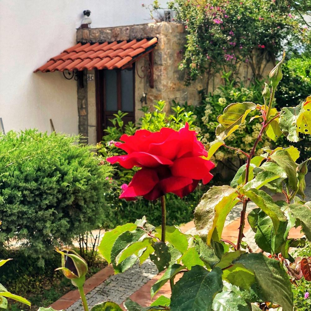 ARION RESORT BOUTIQUE HOTEL — BODRUM — fotografie hotel nr. 32