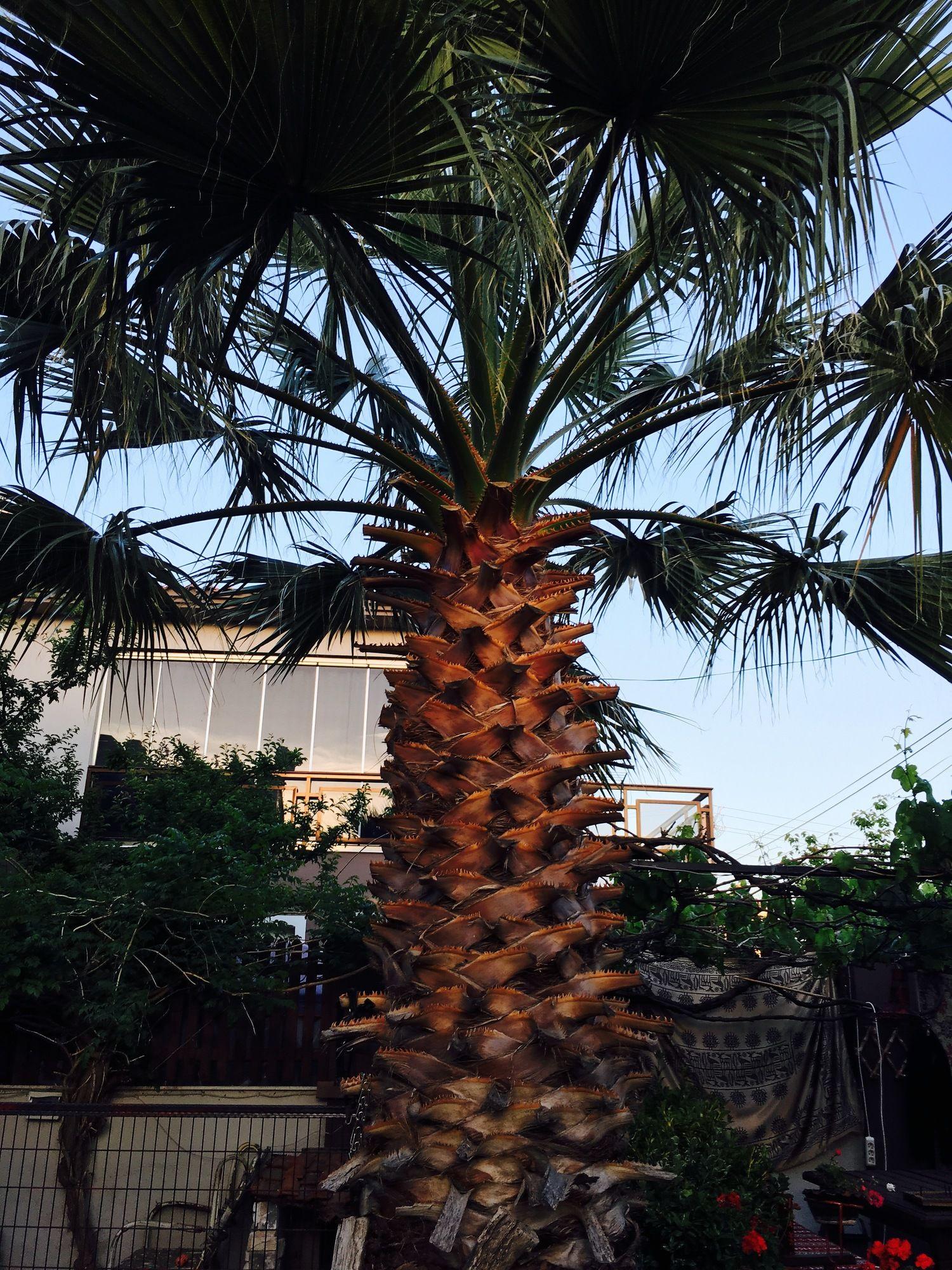CESME ADA BUTIK OTEL — CESME — fotografie hotel nr. 18
