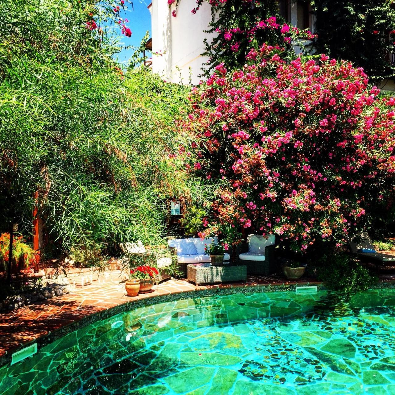 EL VINO — BODRUM