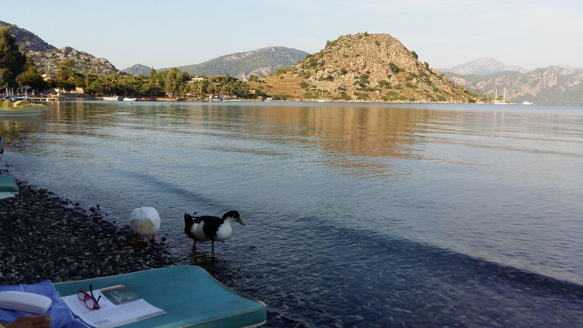 MASAL TATILEVI — MARMARIS — fotografie hotel nr. 20