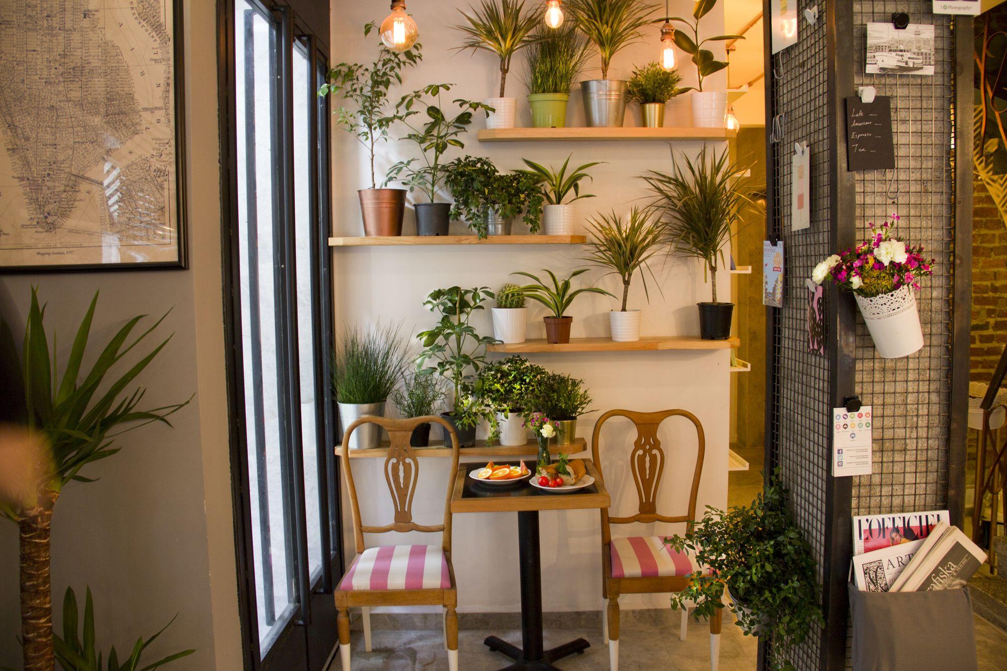HOTEL MOLA GALATA — ISTANBUL — fotografie hotel nr. 5