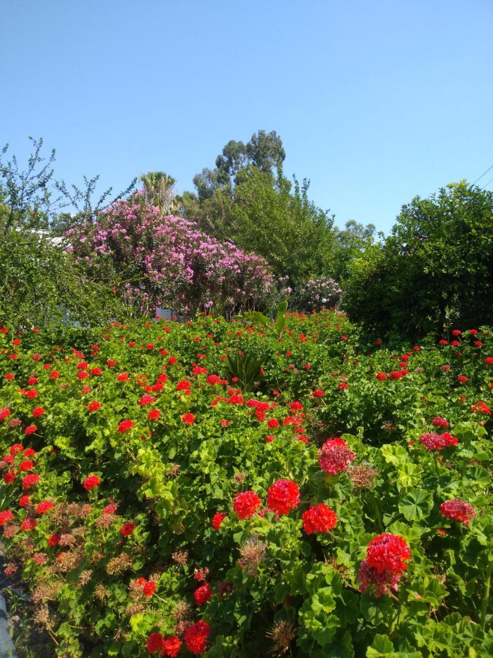 KIRIS GARDEN HOTEL — KIRIS — fotografie hotel nr. 29
