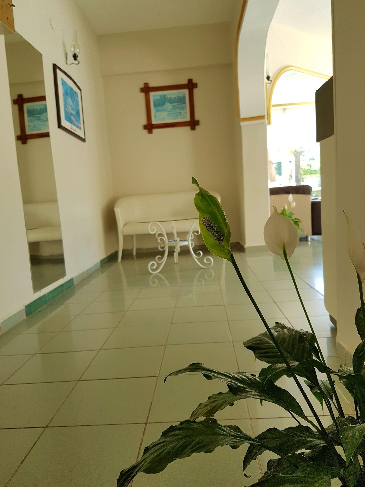 PALMEN APART HOTEL — ALANYA — фотография отеля №25