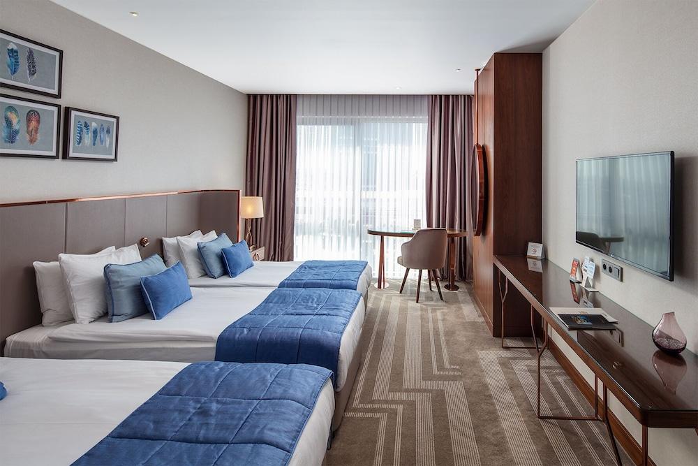 LIONEL HOTEL ISTANBUL — ISTANBUL — фотография отеля №31
