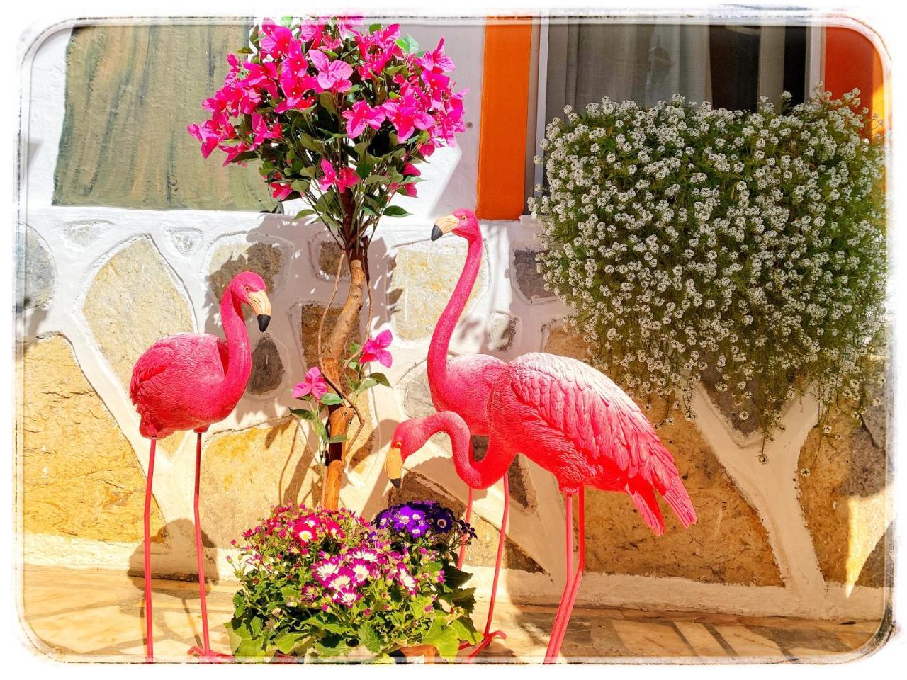 SADE BUTIK OTEL — BODRUM — фотография отеля №17
