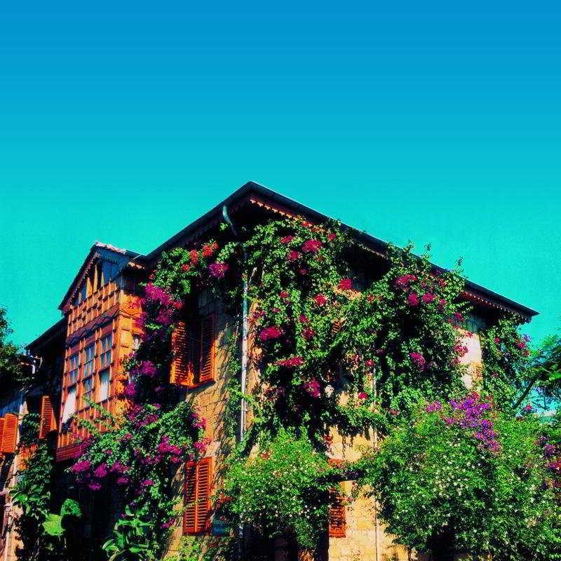 BEGONVILLE PANSIYON — SIDE — фотография отеля №3
