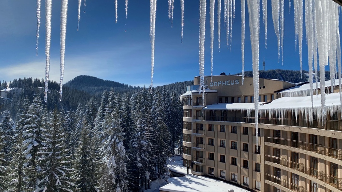 ORPHEUS — PAMPOROVO — фотография отеля №3