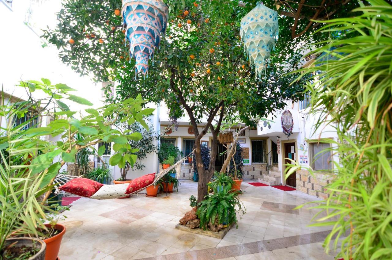 SEVIN HOTEL PANSIYON — BODRUM — fotografie hotel nr. 9
