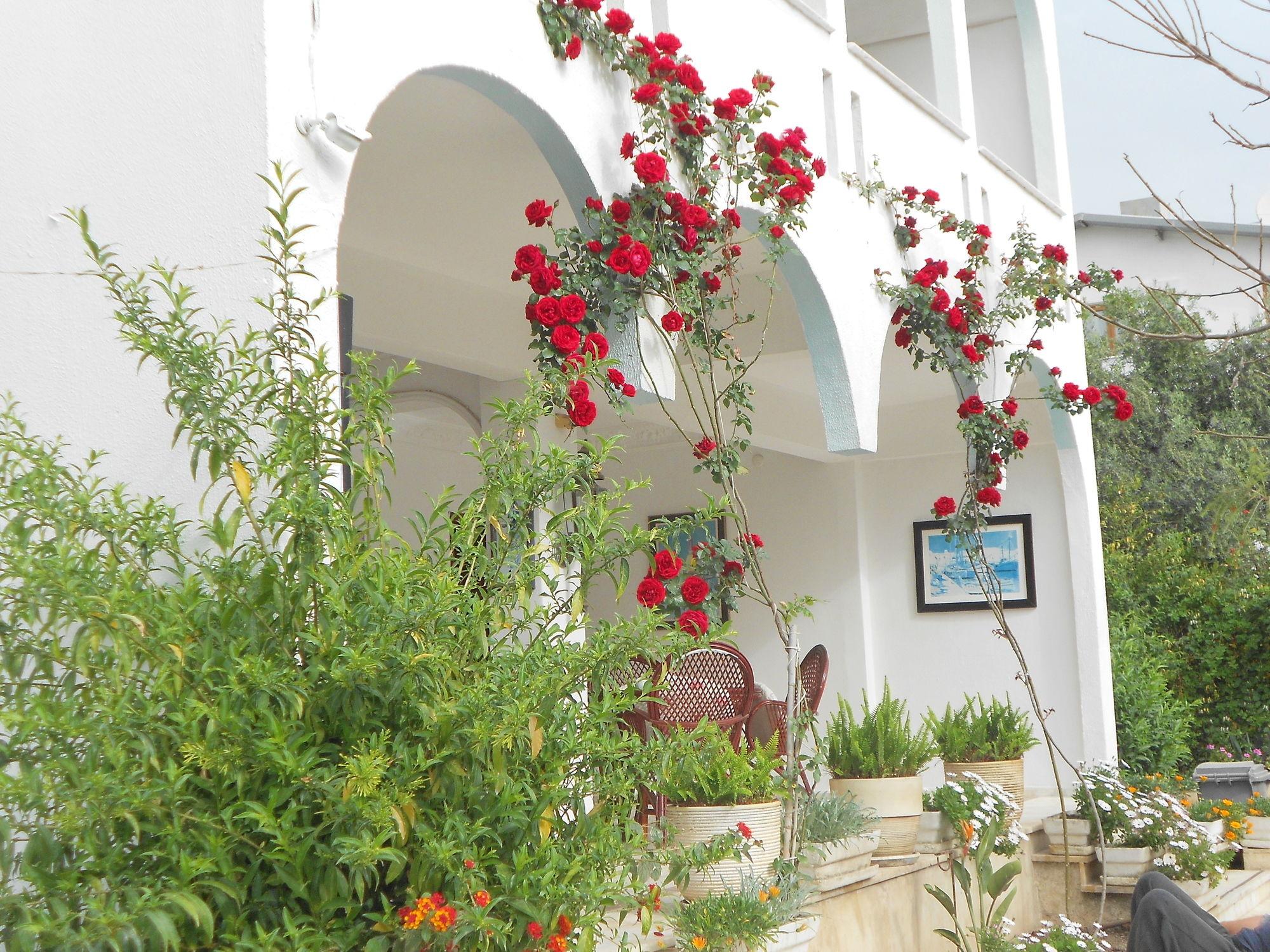 GARDEN PRIZMA PENSION — KEMER — фотография отеля №20
