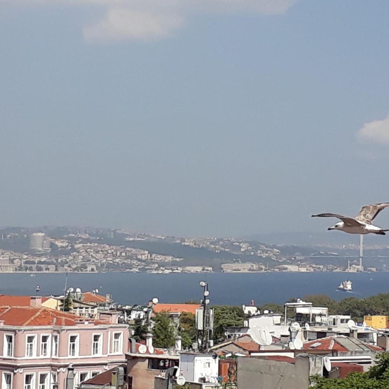 HOTEL HALI — ISTANBUL — fotografie hotel nr. 17