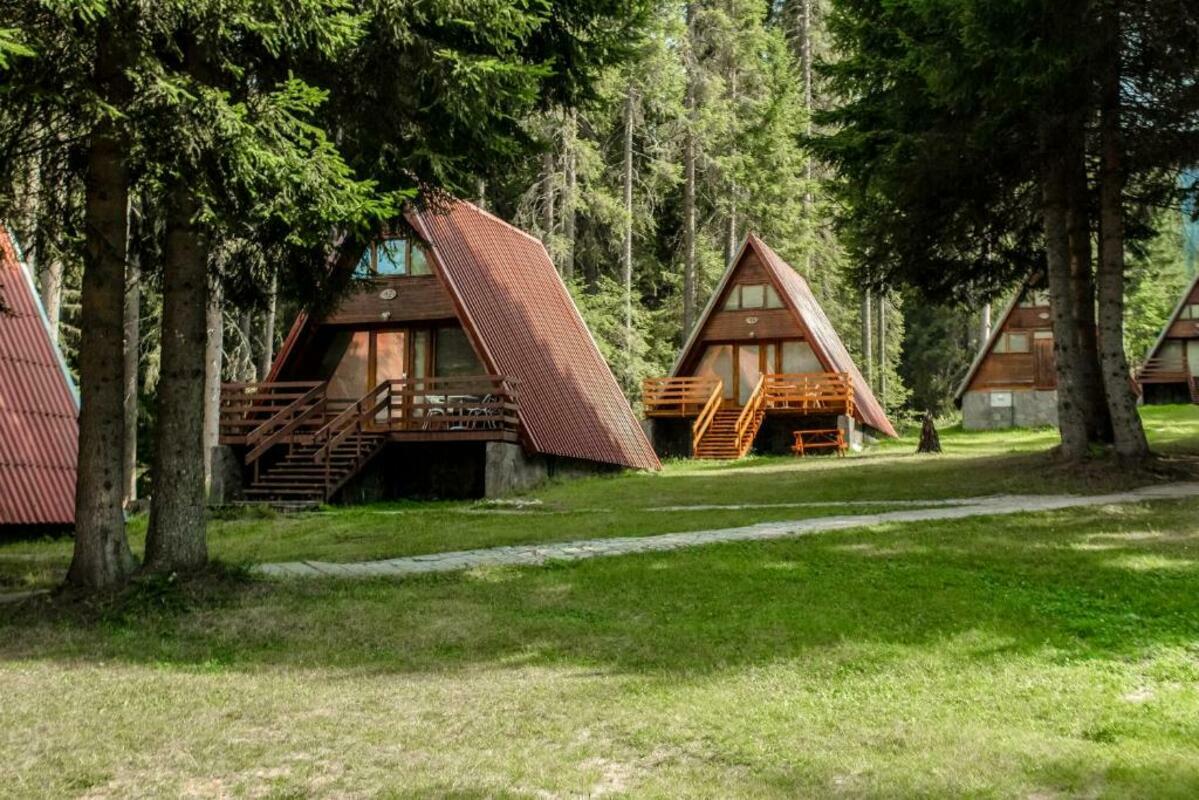 VILLI MALINA — PAMPOROVO — фотография отеля №9