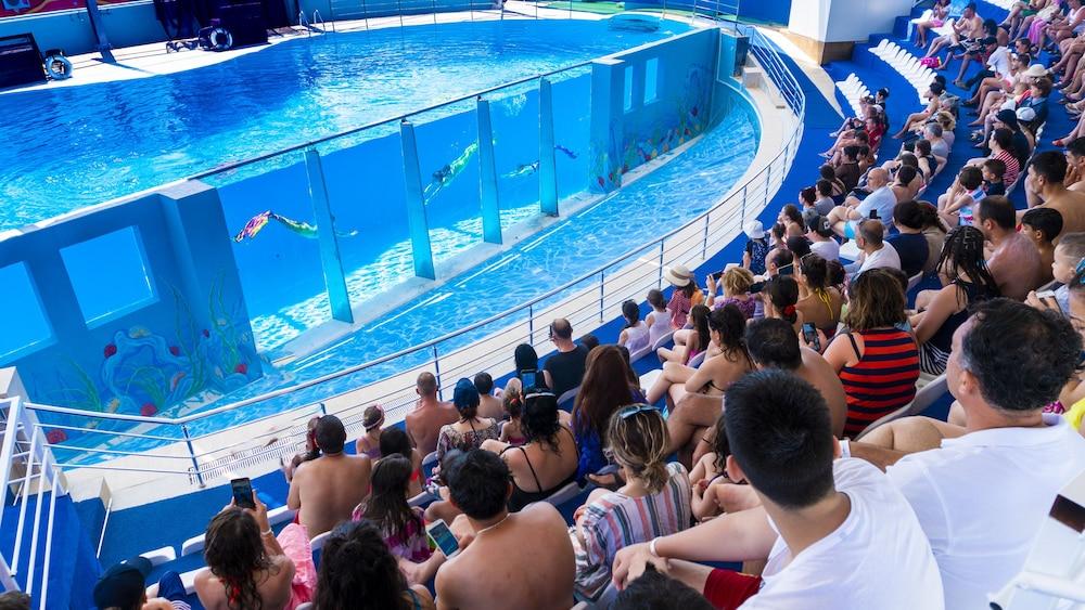 DAIMA BIZ HOTEL — KEMER — фотография отеля №27