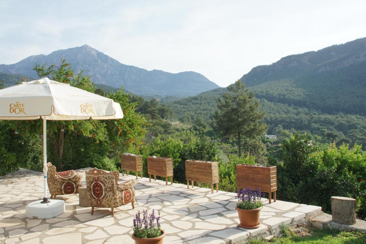 LYCIA HOTEL ULUPINAR — KEMER — fotografie hotel nr. 31