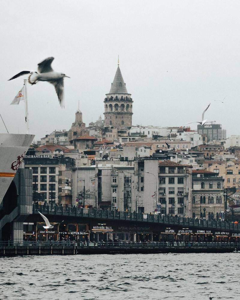 TURNA HOTEL — ISTANBUL — фотография отеля №33