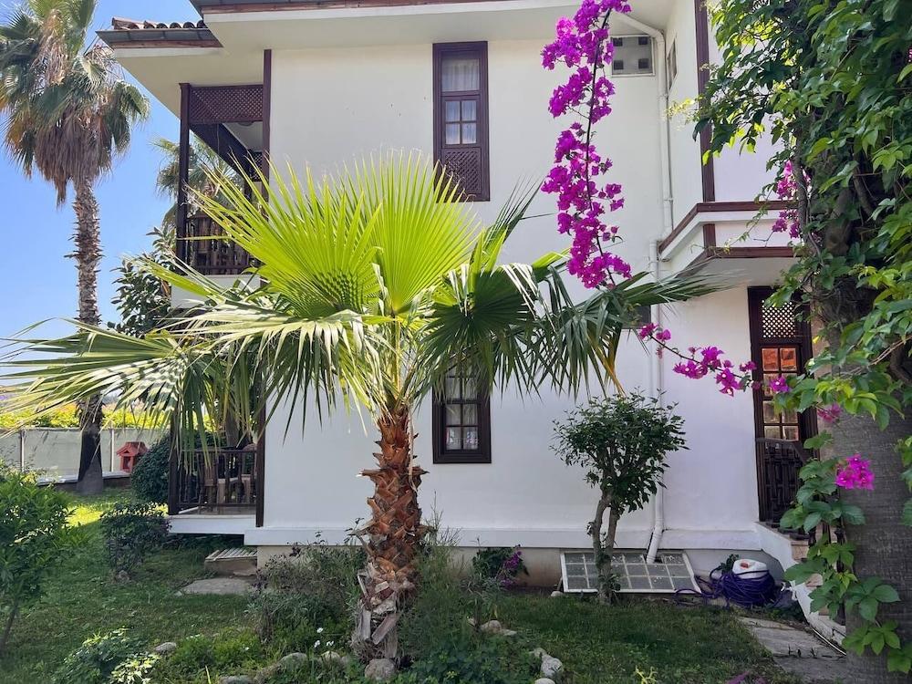 HOTEL PALMA ROSA — CAMYUVA — фотография отеля №15