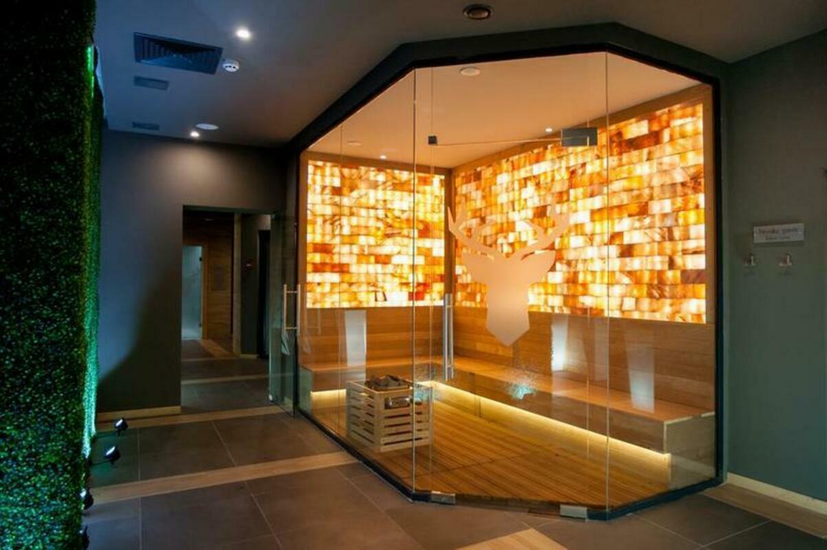 ARTE SPA & PARK HOTEL — VELINGRAD — фотография отеля №11