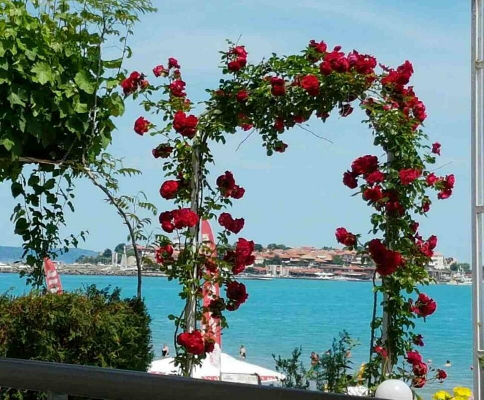 APHRODITE — NESSEBAR — fotografie hotel nr. 12