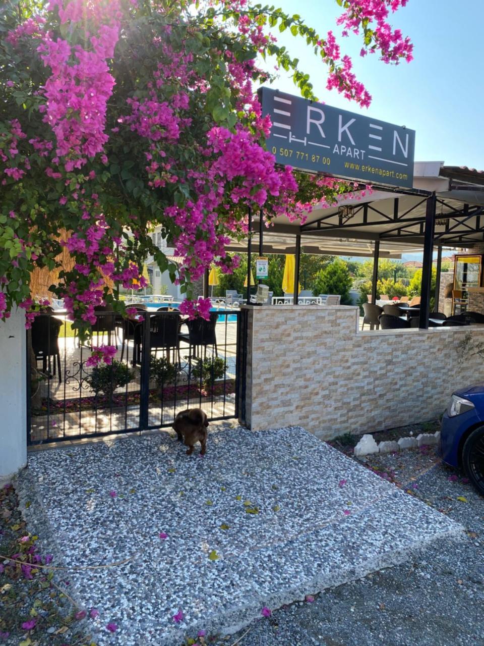 ERKEN APART — DALYAN — фотография отеля №12