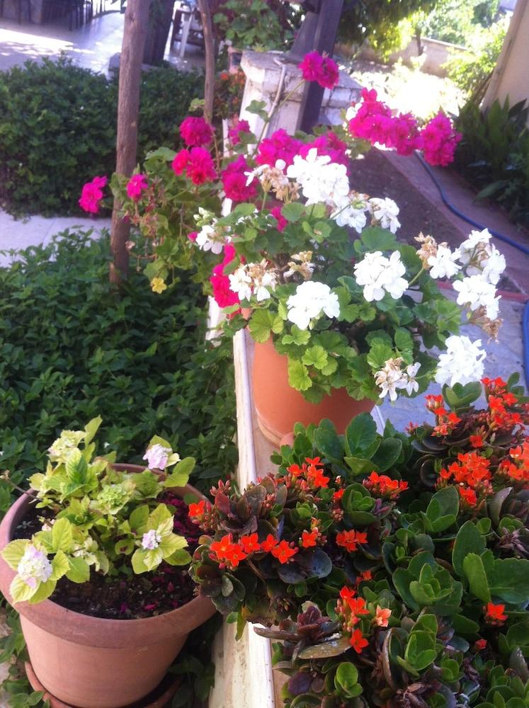 BESIK HOTEL — FETHIYE — фотография отеля №22