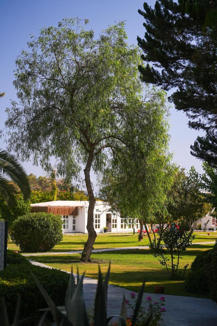 CLUB BEYY RESORT HOTEL — OZDERE — fotografie hotel nr. 35