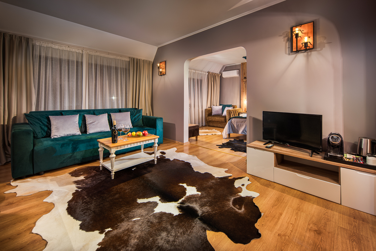 MURA HOTEL BOROVETS — BOROVETS — fotografie hotel nr. 8