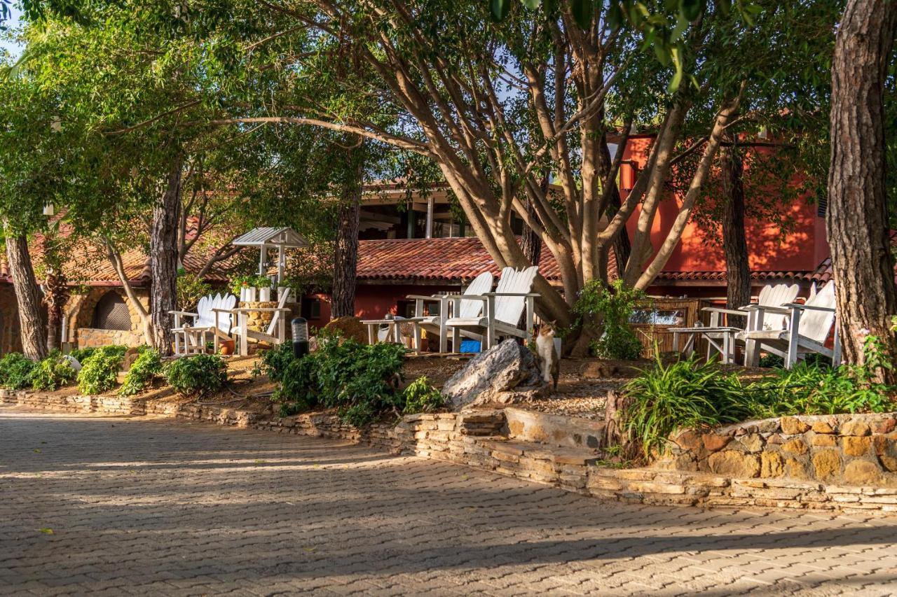 MARMARIS BAY RESORT (ADULTS ONLY) — MARMARIS — fotografie hotel nr. 19