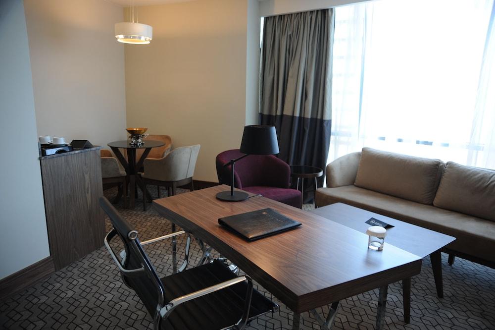 PULLMAN ISTANBUL HOTEL & CONVENTION CENTER — ISTANBUL — фотография отеля №16