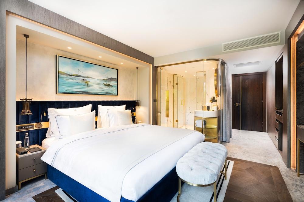 THE MAESTRO HOTEL — ISTANBUL — фотография отеля №7