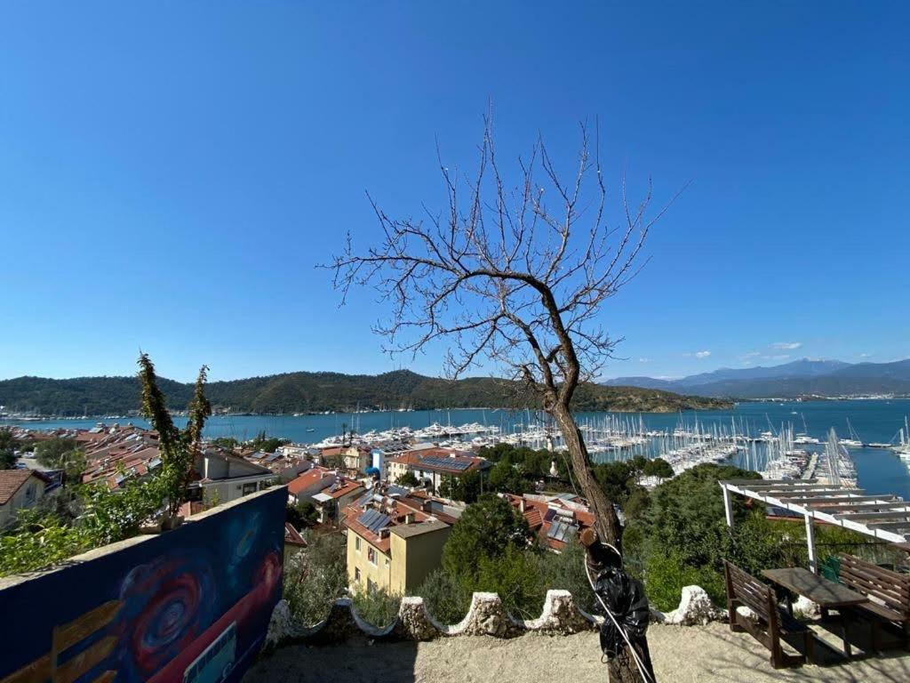 EL CAMINO HOSTEL & PUB (ADULTS ONLY) — FETHIYE — фотография отеля №31