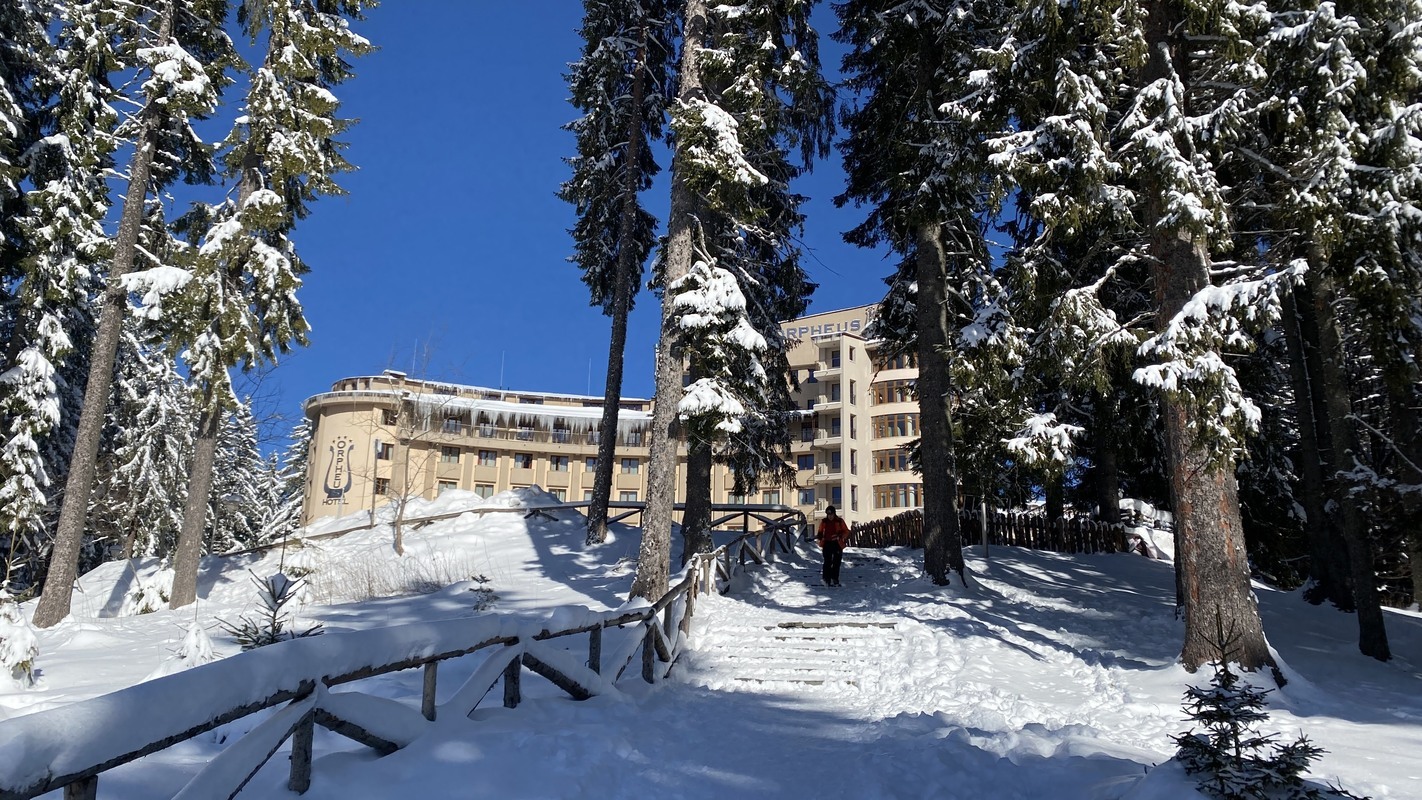 ORPHEUS — PAMPOROVO — фотография отеля №7