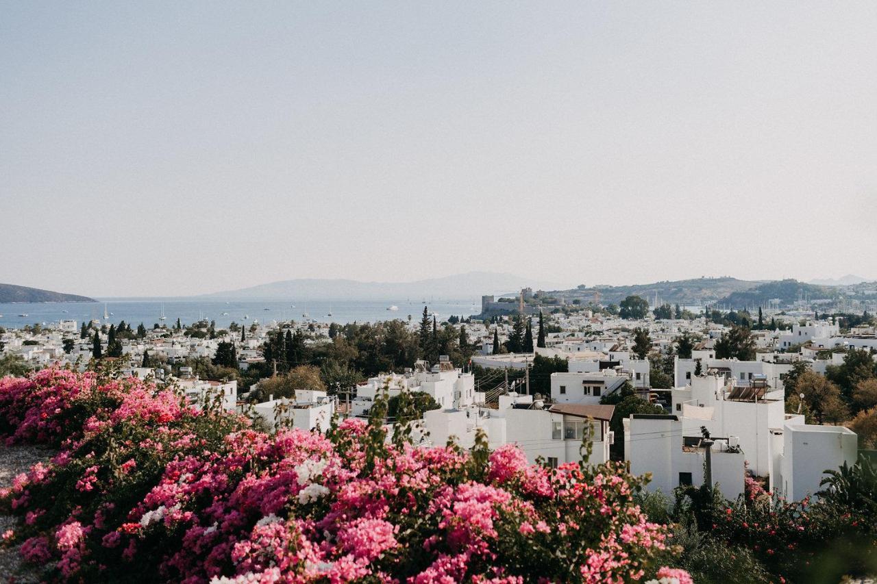 EL VINO — BODRUM — fotografie hotel nr. 14