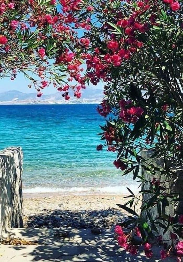 AGAN BUTIK PANSIYON — BODRUM — fotografie hotel nr. 29