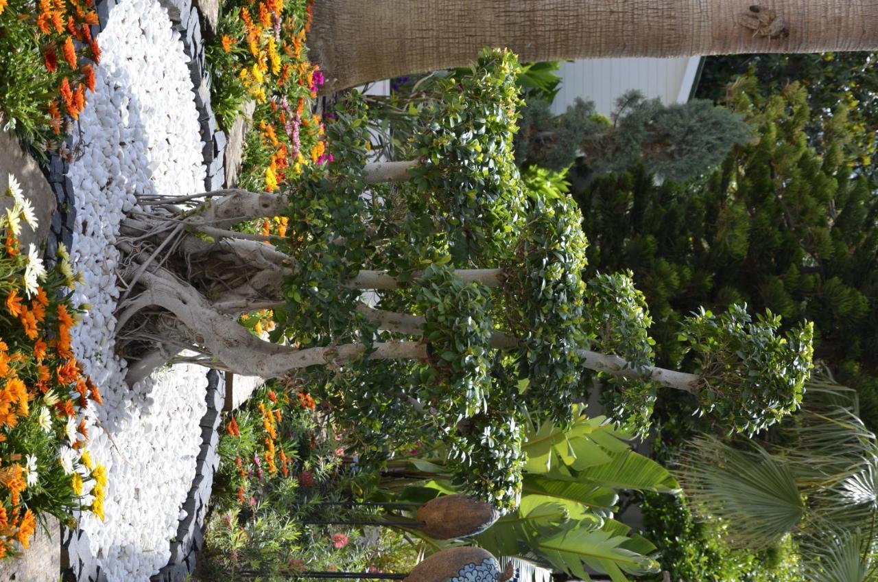 CALIMERA SIDE RESORT — SIDE — фотография отеля №28
