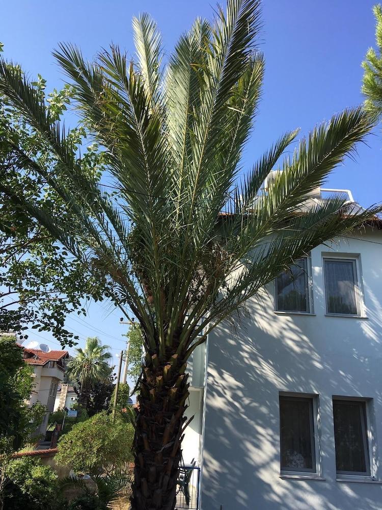 GUNAYDIN APART & HOUSE — DALYAN