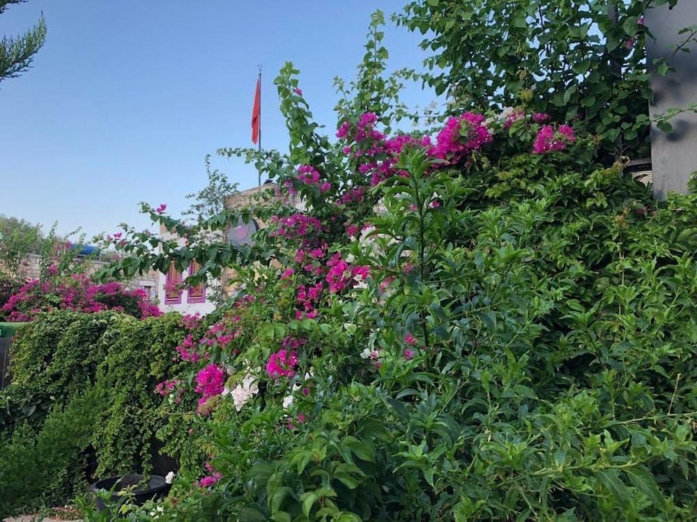 PEPECURA BODRUM — BODRUM — fotografie hotel nr. 29