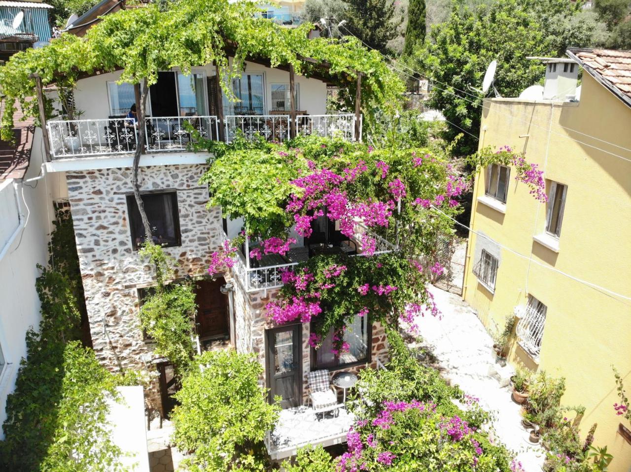 THE LEMON VILLA HOTEL (ADULTS ONLY) — ALANYA
