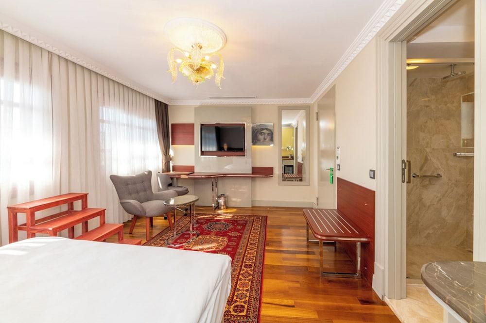 BLUE GILROY HOTEL — ISTANBUL — фотография отеля №24