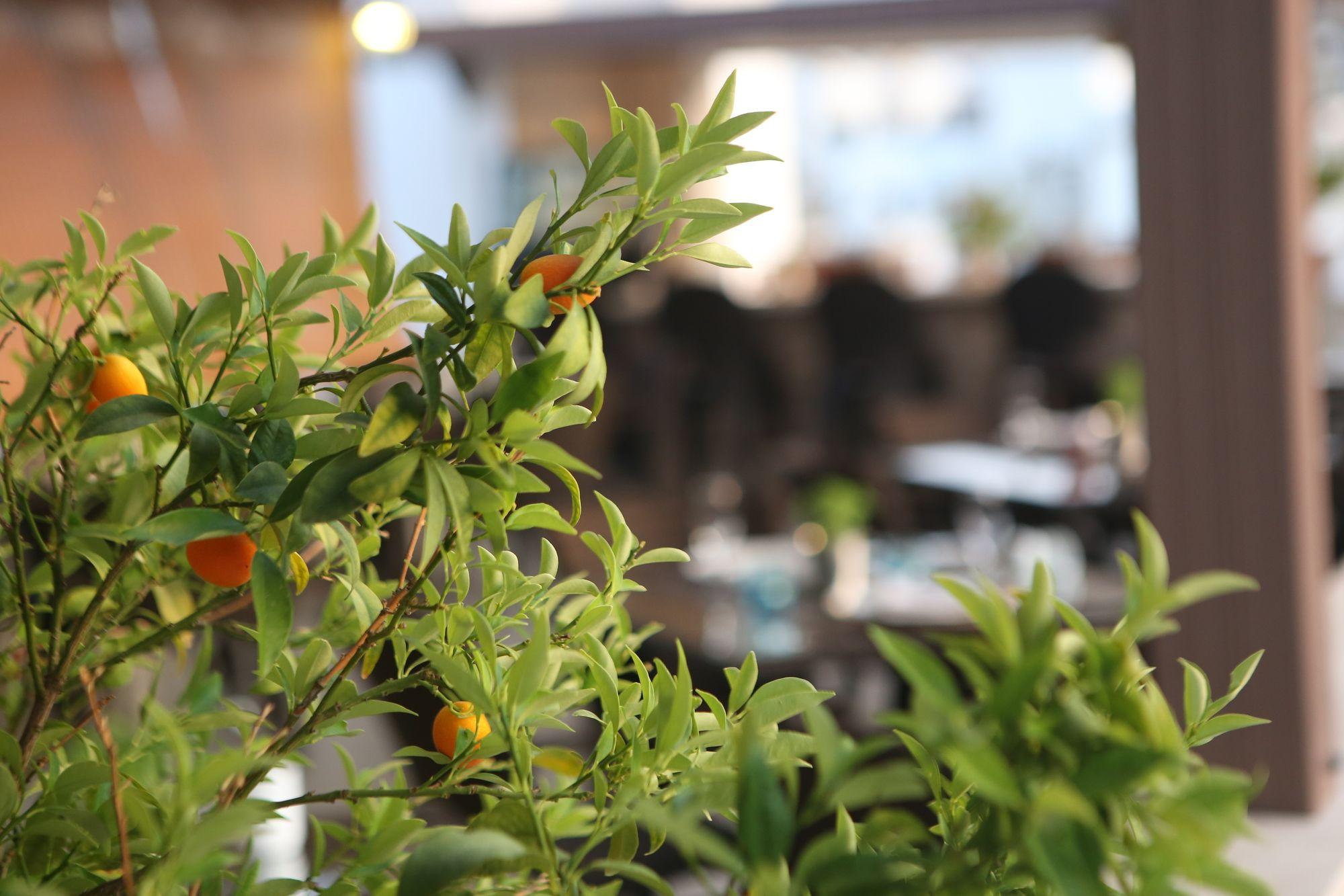 7. ART FESLEGEN HOTEL — BODRUM — fotografie hotel nr. 5