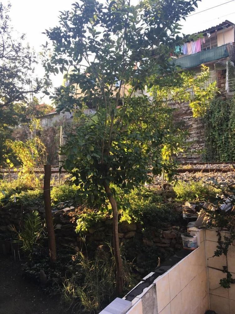 PIYA HOSTEL — ISTANBUL — фотография отеля №37