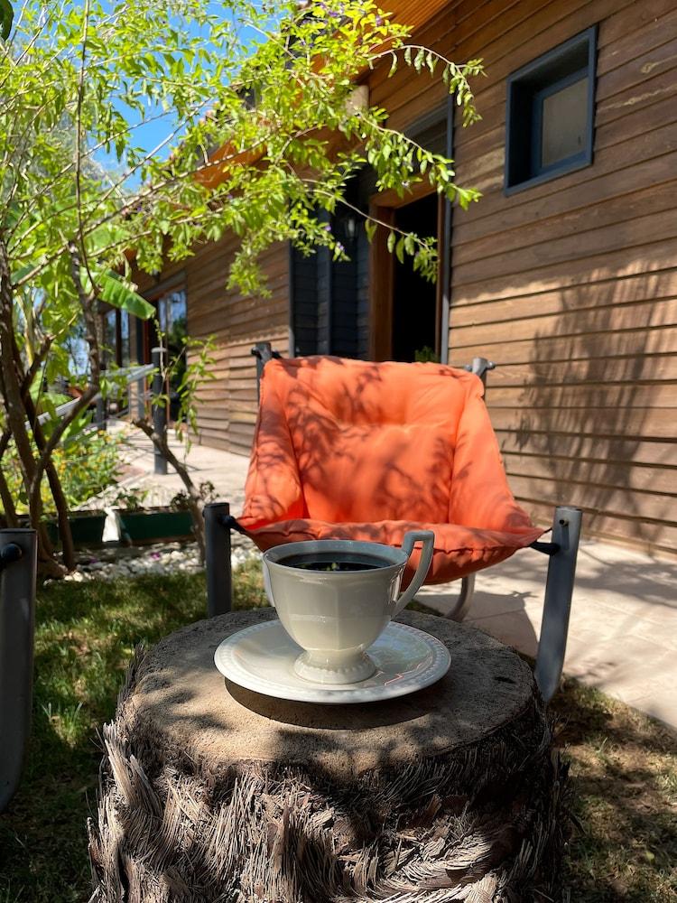 ATA BOUTIQUE HOTEL — CESME — фотография отеля №28