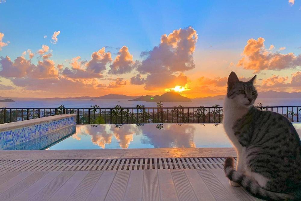 BODRUM - 5 BEDROOMS VILLA WITH HEATED POOL — BODRUM — фотография отеля №28