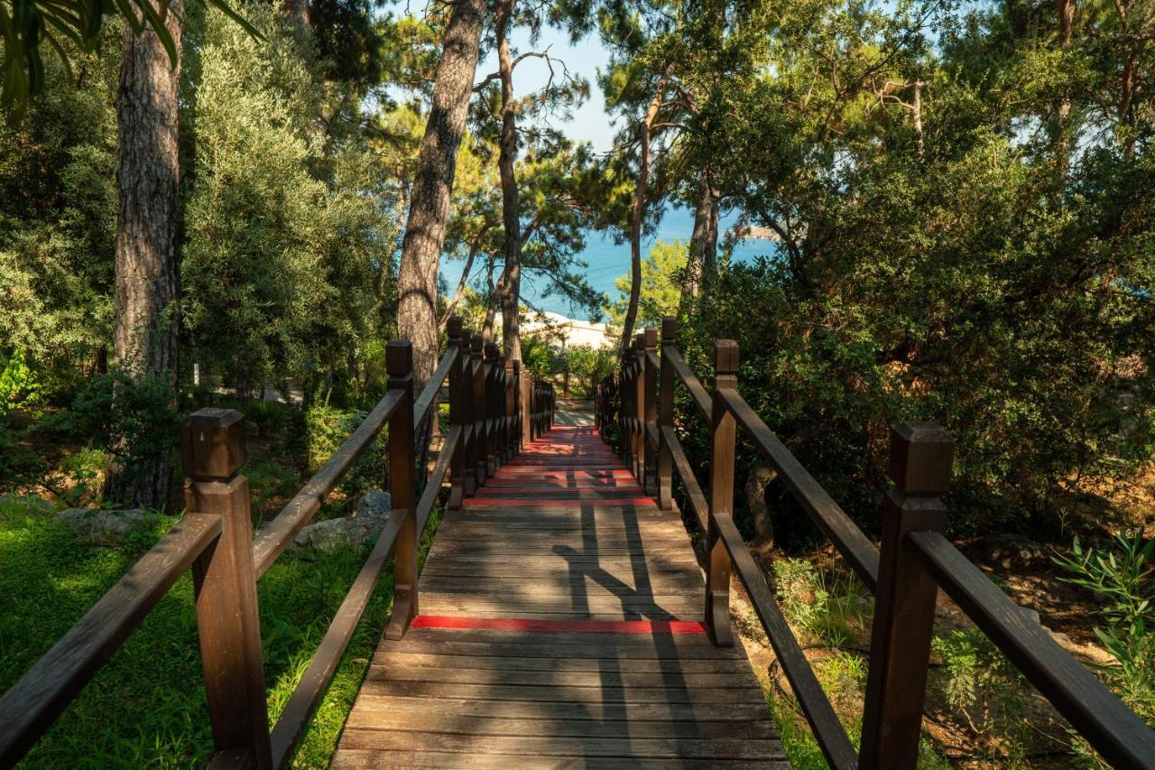 TUI BLUE SENO (ADULTS ONLY) — SARIGERME — fotografie hotel nr. 28