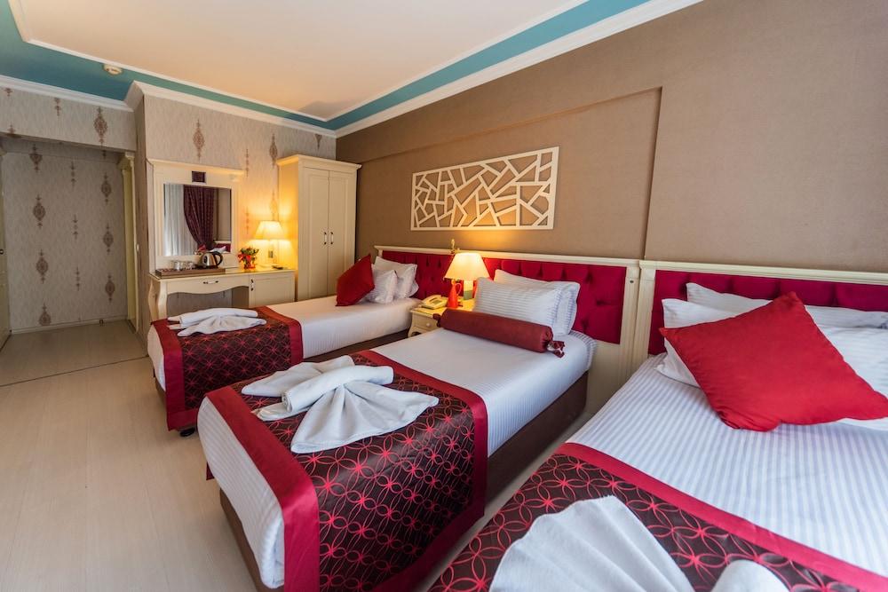 VIVA DELUXE HOTEL — ISTANBUL — фотография отеля №11