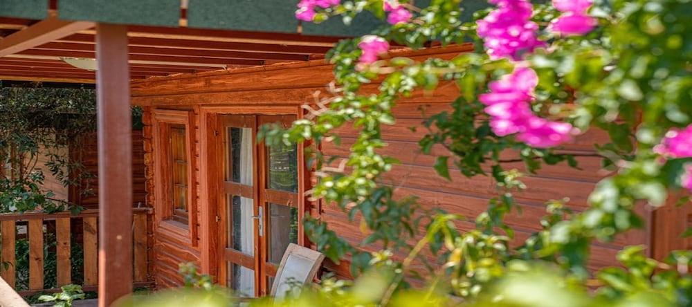 FELICITY HOTEL & BUNGALOWS — CAMYUVA — fotografie hotel nr. 32