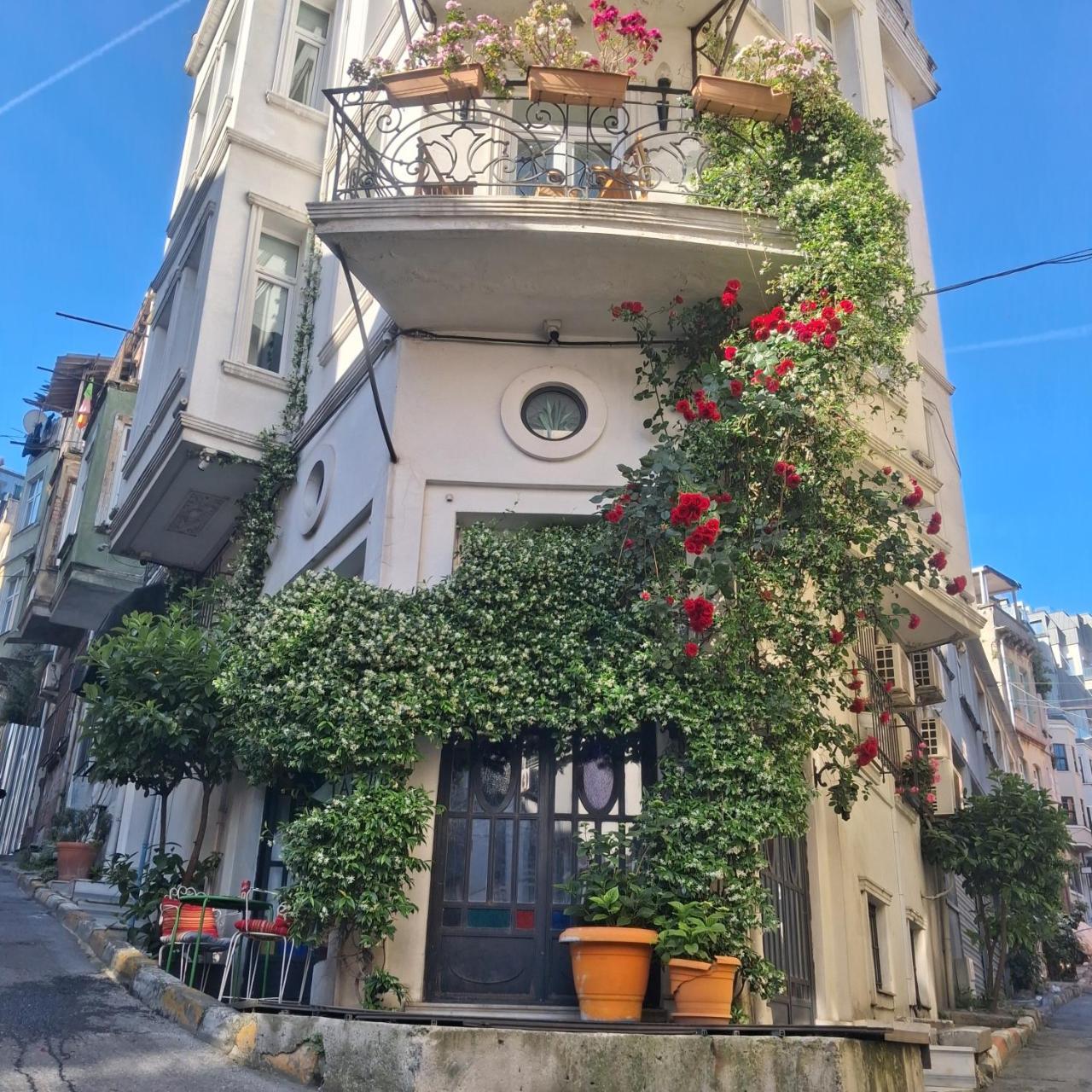 THE WHITE SWAN SUITES — ISTANBUL — fotografie hotel nr. 6