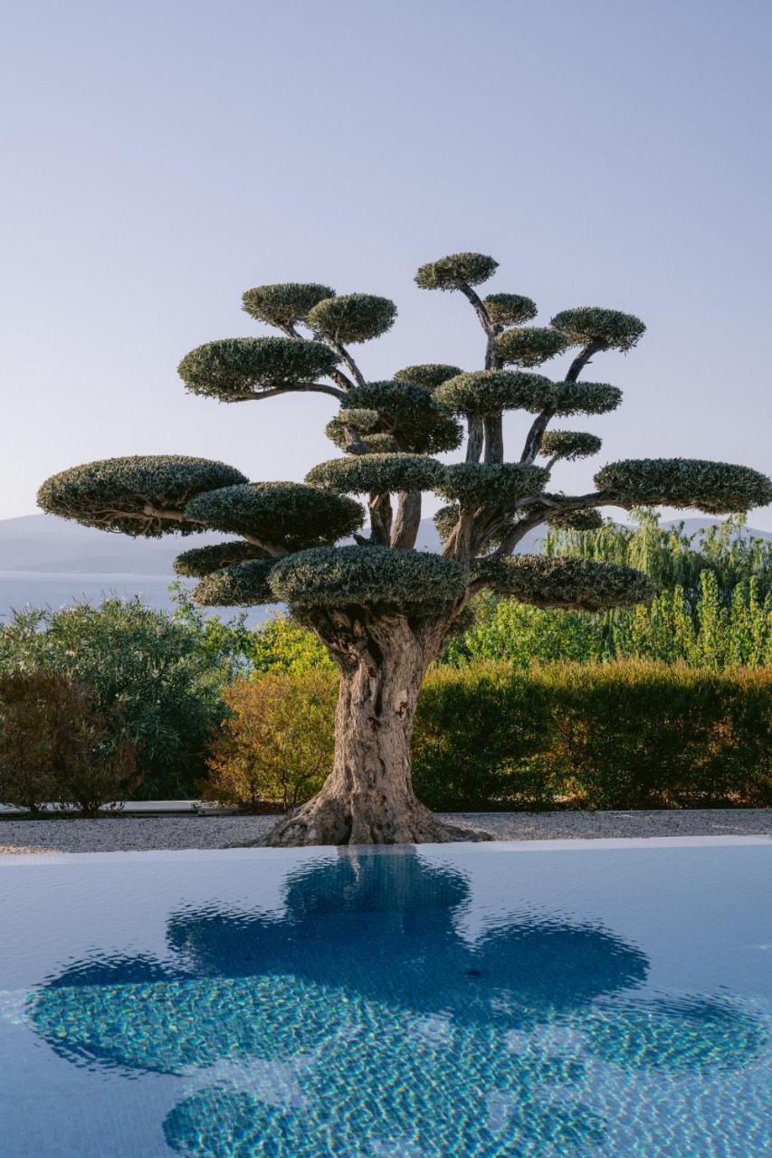 HIDDENBAY TEOS HOTEL SIGACIK (ADULTS ONLY) — SEFERIHISAR — fotografie hotel nr. 5
